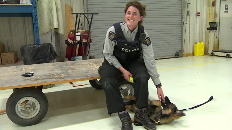 RCMP puppy and constable learn the ropes together