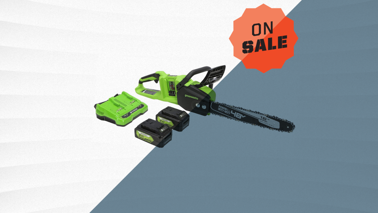 greenworks 48 volt electric chainsaw and two batteries