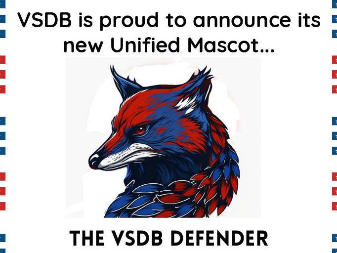 VSDB released its new unified mascot, the Defender.