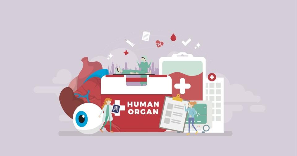 Illustration of a Human Organ cooler, paperwork and donor organs