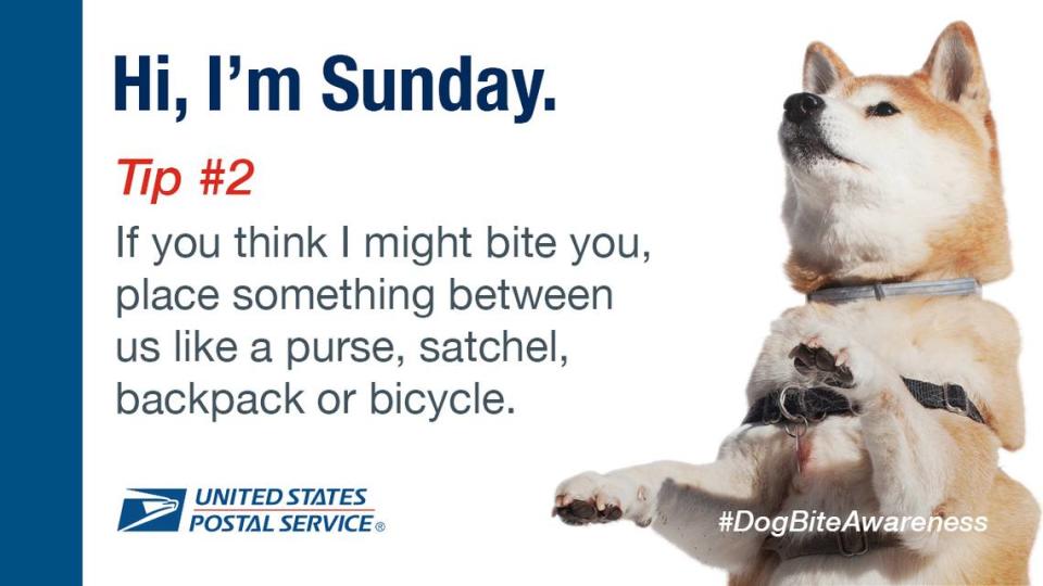 The U.S. Postal Service is giving advice on how to keep safe from dogs during National Dog Bite Awareness Week.