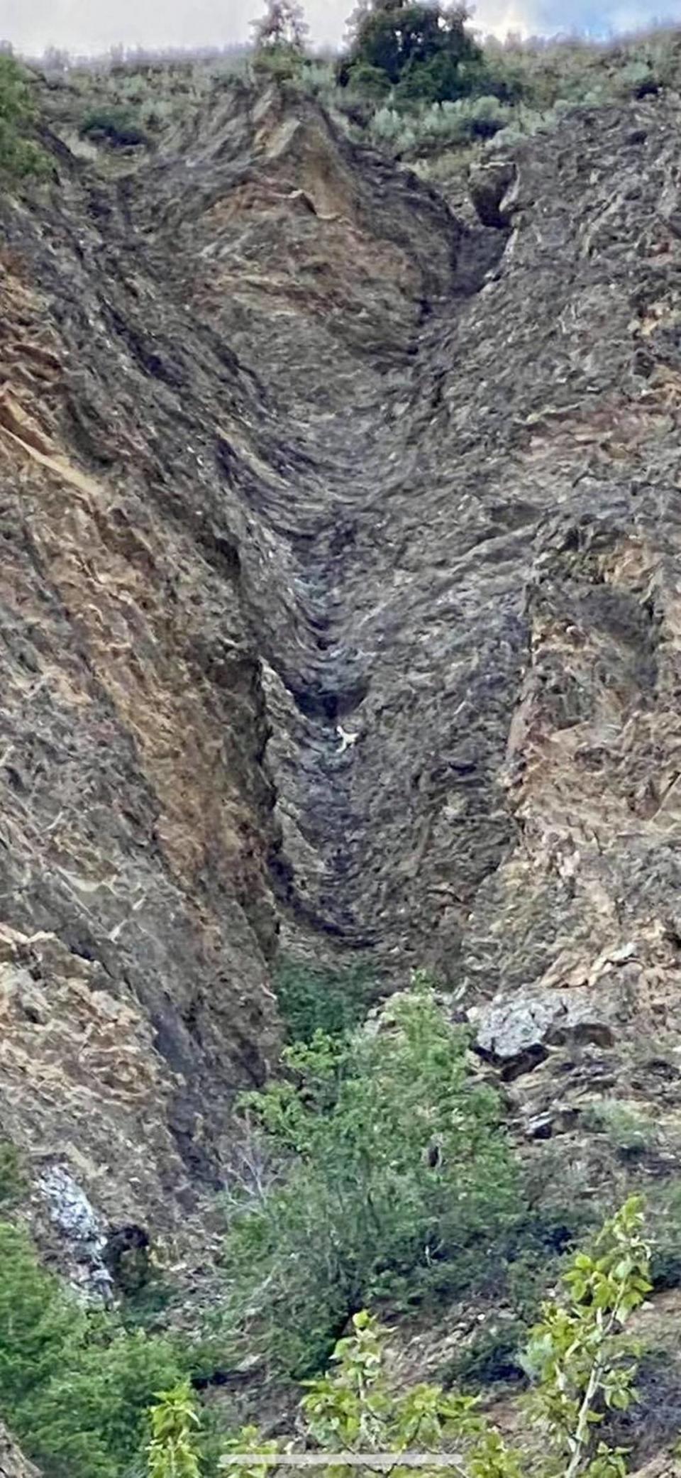 “There is a prominent tree in the middle of the … picture. Follow up from its top. There’s a dark spot on the cliff and below that a white spot (Honey Bear).”  