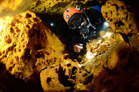 A scuba diver looks at an animal skull at Sac Aktun underwater cave system during exploration as part of the Gran Acuifero Maya Project near Tulum, in Quintana Roo state, Mexico February 12, 2014. Picture taken February 12, 2014. Jan Arild Aaserud/Courtesy Gran Acuifero Maya Project (GAM)/Handout via REUTERS