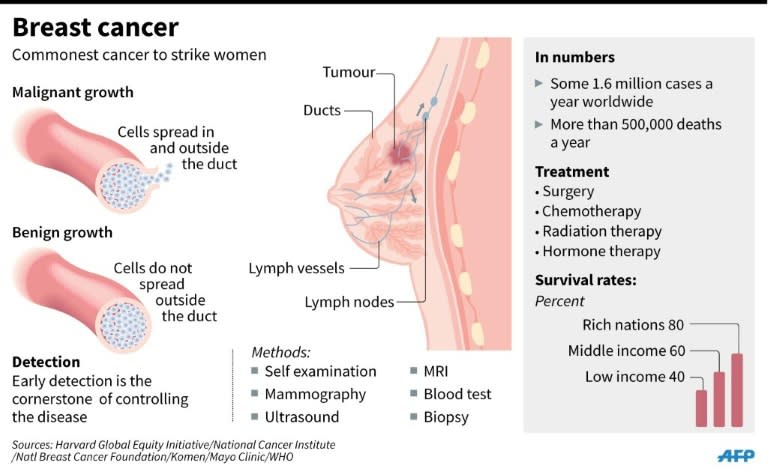 Factfile in breast cancer