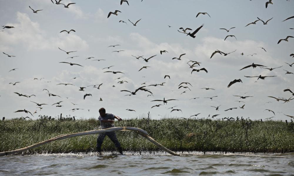 <span>Photograph: Gerald Herbert/AP</span>