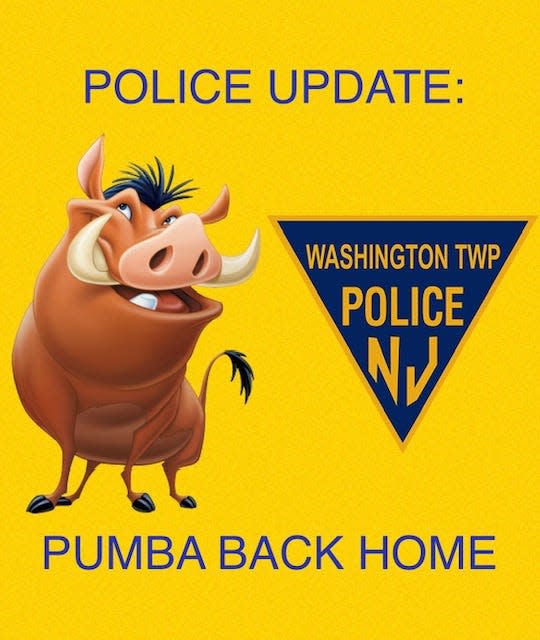 Washington Township police created this graphic to update people on the status of a potbelly pig that got loose in traffic on Friday.