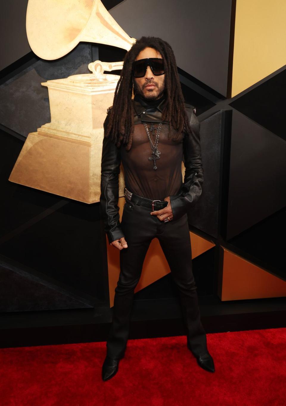 lenny kravitz on 66th grammy awards red carpet