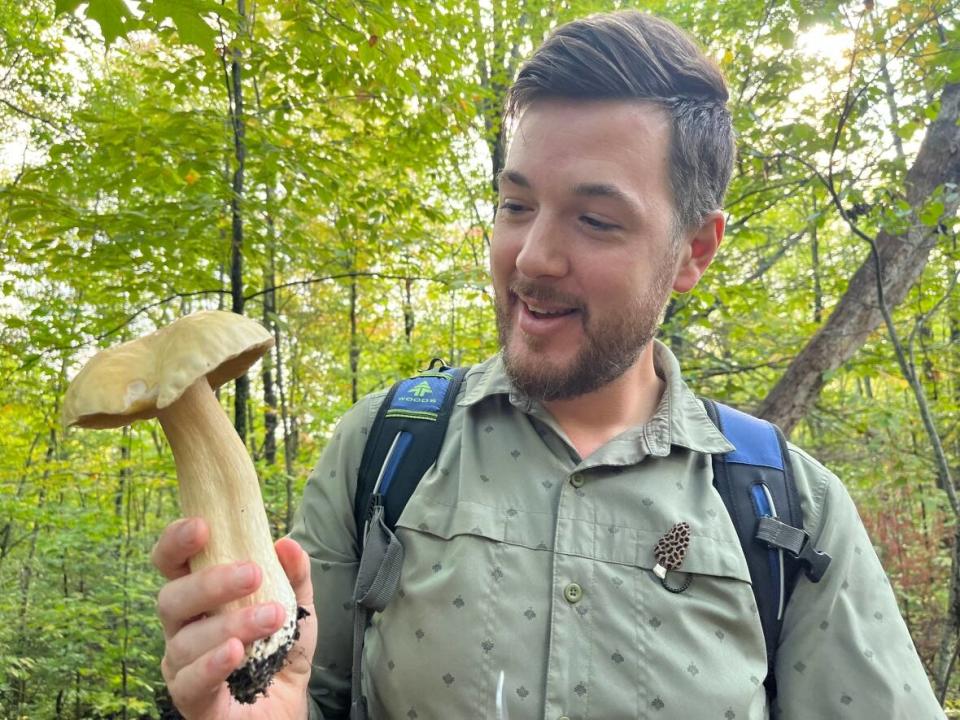 Robert Courteau, who heads a non-profit organization dedicated to fungi research, education and conservation, took Ottawa Morning's Hallie Cotnam on a mushroom tour along the Crazy Horse Trail off March Road near Huntmar Drive on Wednesday, and found this king bolete. (Hallie Cotnam/CBC - image credit)
