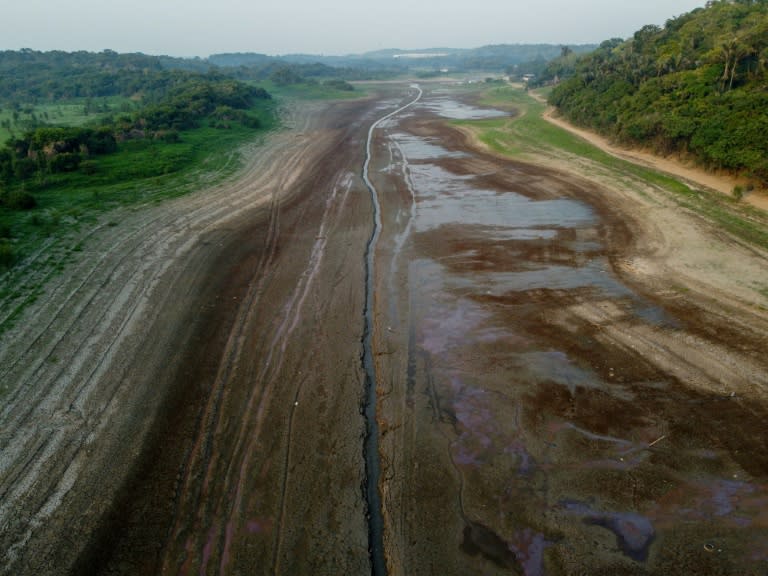 Área seca en Manaus, en el estado braileño de Amazonas, el 6 de octubre de 2023 (Michael Dantas)