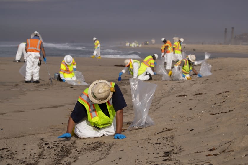 Huntington Beach, CA - October 04: Cleanup crews spread out across the beach as they begin cleaning up oil in the sand from a major oil spill on Huntington State Beach in Huntington Beach Monday, Oct. 4, 2021. Cleanup crews began cleaning up the the damage from a major oil spill off the Orange County coast that left crude spoiling beaches, killing fish and birds and threatening local wetlands. The oil slick is believed to have originated from a pipeline leak, pouring 126,000 gallons into the coastal waters and seeping into the Talbert Marsh as lifeguards deployed floating barriers known as booms to try to stop further incursion, said Jennifer Carey, Huntington Beach city spokesperson. At sunrise Sunday, oil was on the sand in some parts of Huntington Beach with slicks visible in the ocean as well. "We classify this as a major spill, and it is a high priority to us to mitigate any environmental concerns," Carey said. "It's all hands on deck." (Allen J. Schaben / Los Angeles Times)