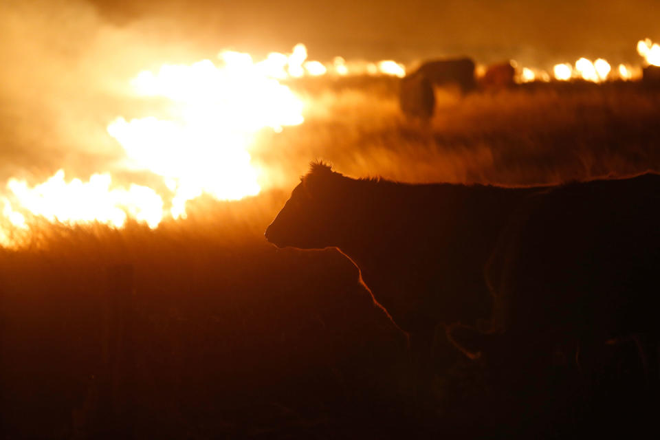 Kansas wildfire