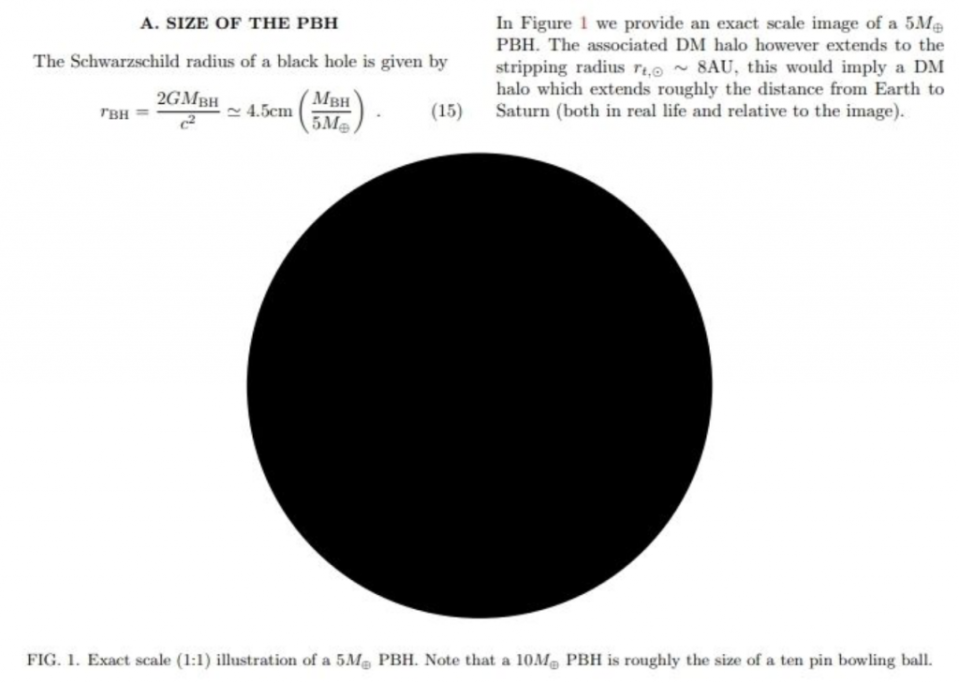 圖為有 5 個地球質量的黑洞示意圖，來自 2019 年一篇推測第九行星性質的論文。這種質量的黑洞大約有 9 厘米（5 英寸）寬。（Schultz and Unwin，arXiv，2019）