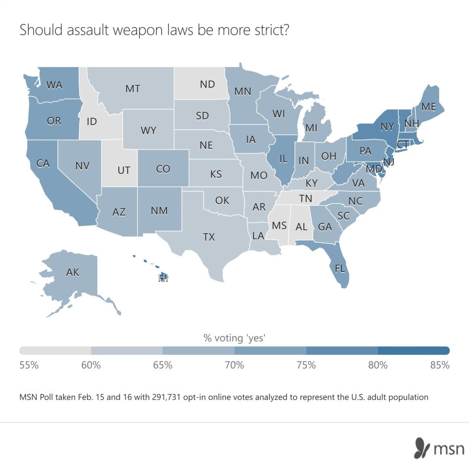 assault weapon limits