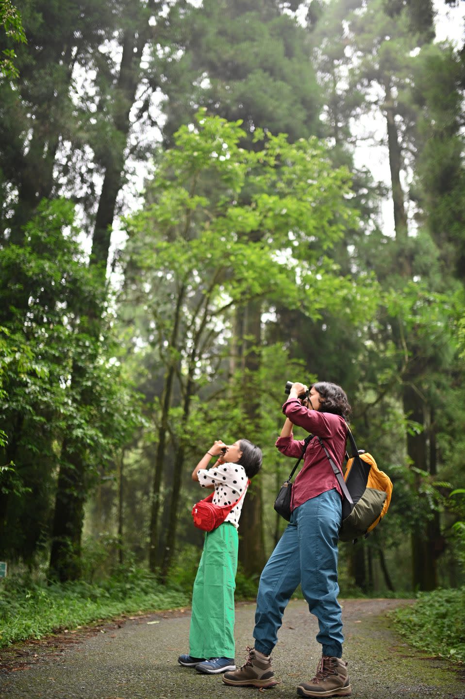 mother and daughter observing through binoculars in a park