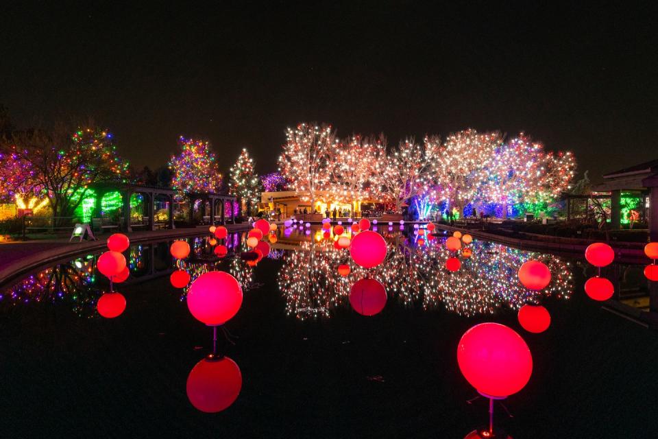 red globes of light on water in front of trees lit with christmas lights