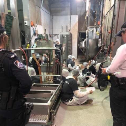 Several vegan advocates chained themselves to equipment at Carey Bros Abattoir, in Queensland’s Southern Downs region, last week. Source: 7News