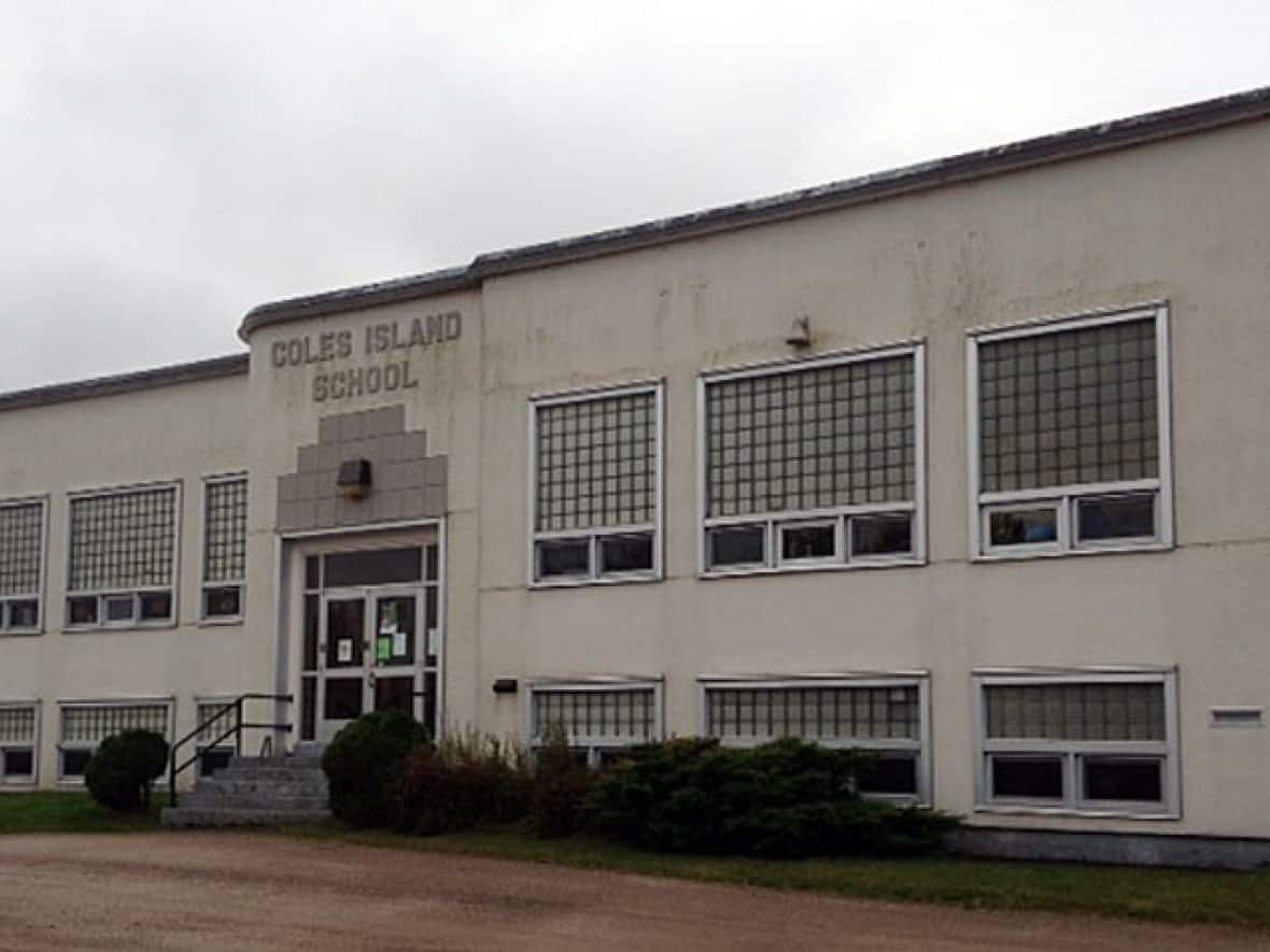 The RCMP executed a search warrant at Jeremy Barton's residence, the former Coles Island School, where they seized more than 100 cannabis plants that were part of a grow-op Barton was operating. (Catherine Harrop/CBC - image credit)