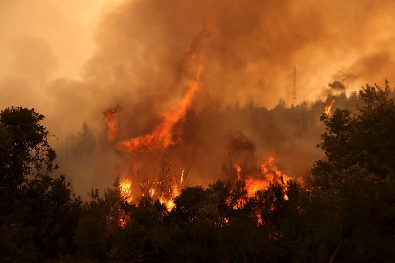 FILE PHOTO: Wildfire on Evia island