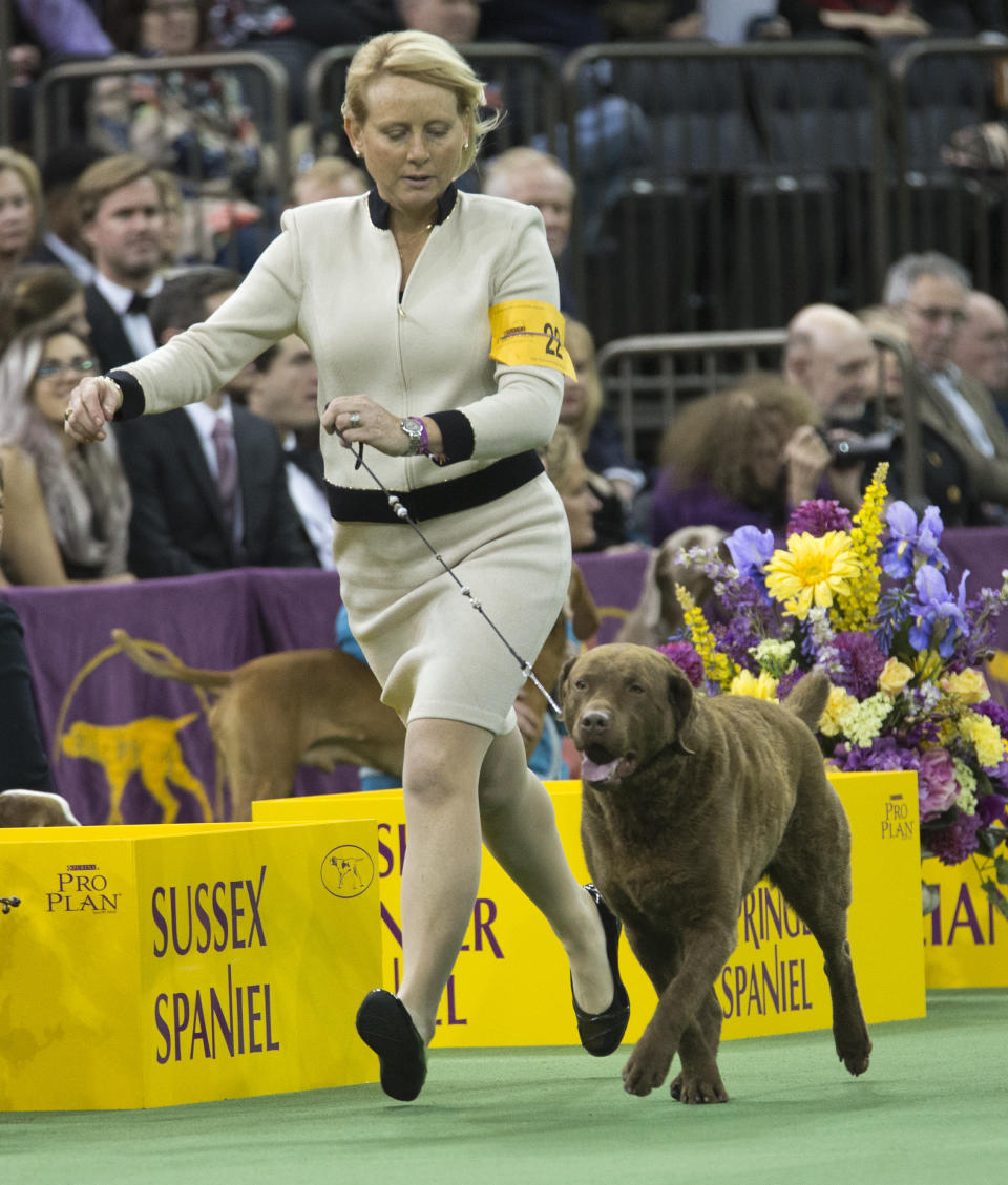 (AP Photo/Mary Altaffer)