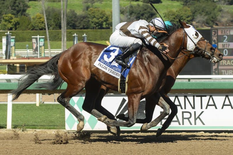 Big City Lights wins Saturday's Palos Verde Stakes at Santa Anita. Benoit photo/Courtesy of Santa Anita