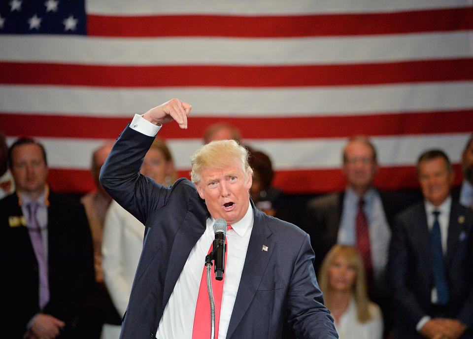 Republican presidential candidate Donald Trump address an audience at the The Hotel Roanoke &amp; Conference Center on July 25, 2016 in Roanoke, Virginia.