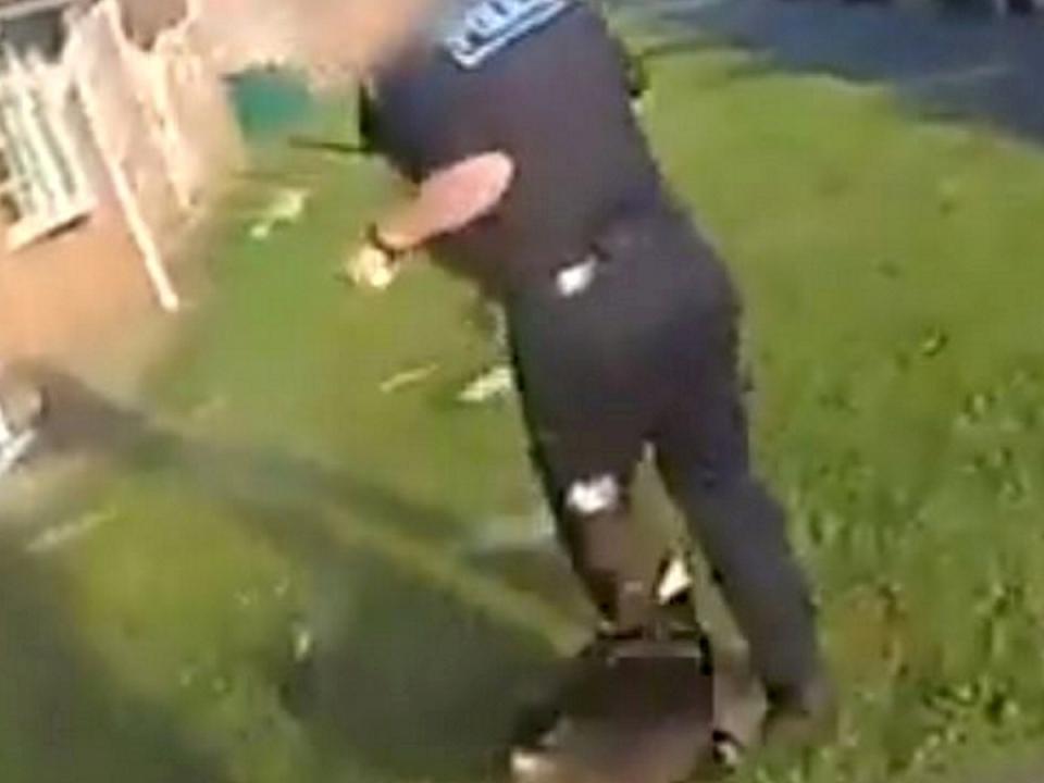 An officer was attacked by an American XL Bully.