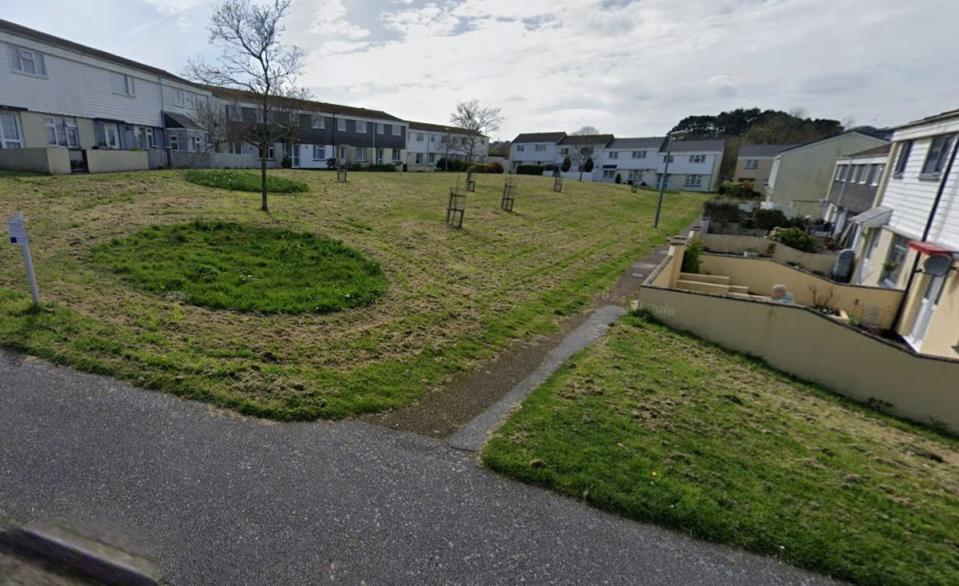 Police were called to Lowenek Close in Falmouth, where they seized the dog (Google)