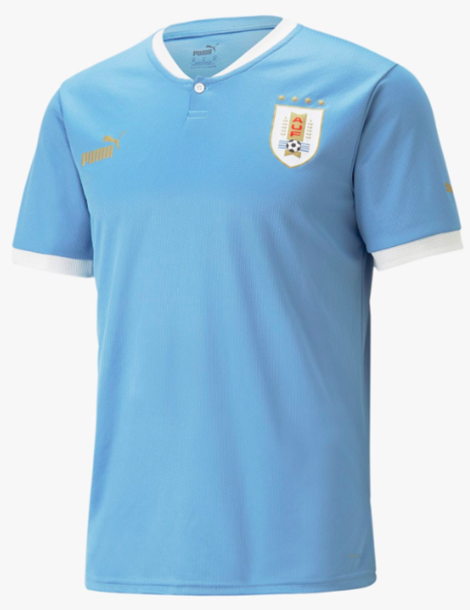 Uruguay home (Puma)