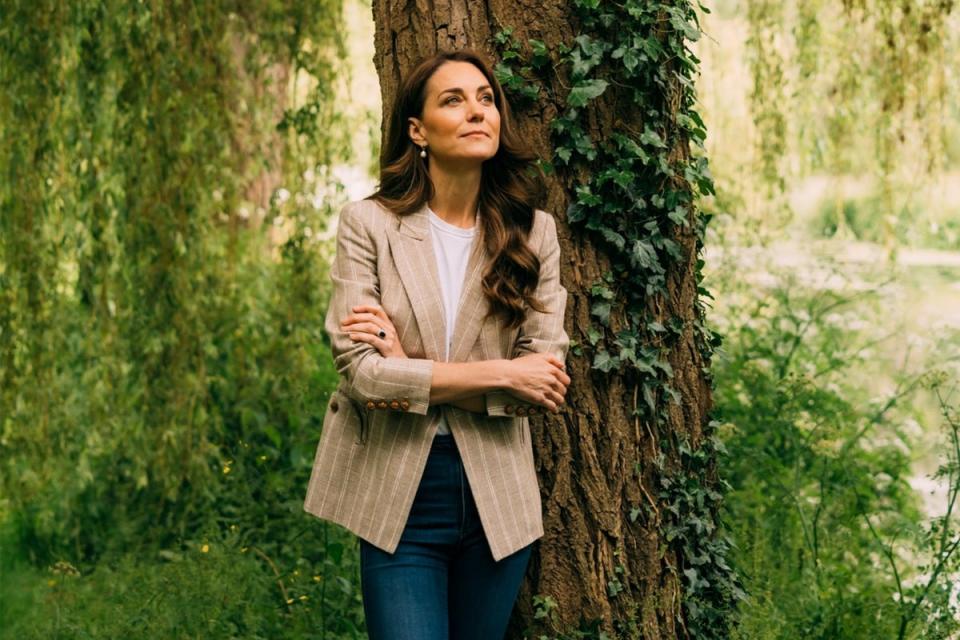 Kensington Palace released a new portrait of the princess taken at Windsor this week to mark the announcement (Matt Porteous)