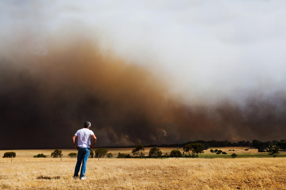 Watching it burn. A man stands by helpless as a wild bush fire burns out of control, Lower Eyre Peninsula - South Australia