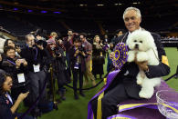 <p>Flynn, a bichon frise, with handler Bill McFadden, poses after winning Best in Show at the Westminster Kennel Club 142nd Annual Dog Show in Madison Square Garden in New York, Feb. 13, 2018. (Photo: Timothy A. Clary/AFP/Getty Images) </p>