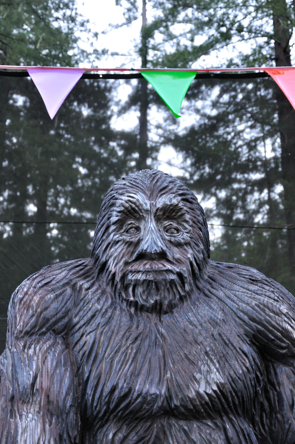 California not only boasts 428 Bigfoot sightings, but two different Bigfoot museums.