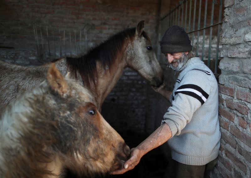 Walter Carbone, a carer member of APRE (Equine Rescue Protection Association), feed Andromeda, a mistreated horse rescued by the association, and Milena, her filly, who was born at the refuge, in Lanus, on the outskirts of Buenos Aires