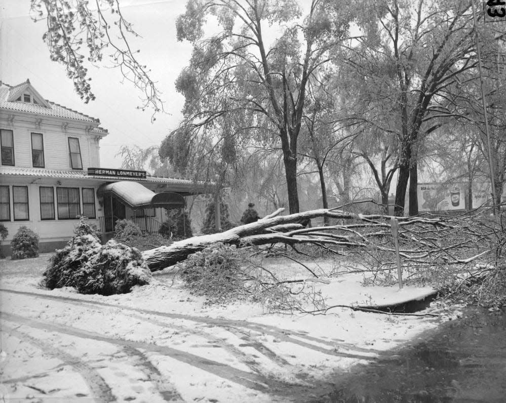 The Herman Lohmeyer funeral home with a fallen tree across the yard after a sleet storm. Initially published in the Springfield News & Leader on April 19, 1953.