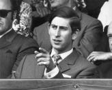 <p>Prince Charles, up in the stands.</p>