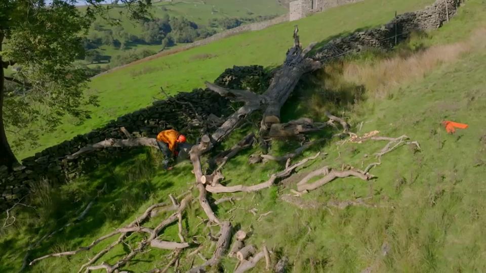 Reuben Owen: My Yorkshire Life S1 ep3 Reuben Owen cutting felled tree with a chainsaw