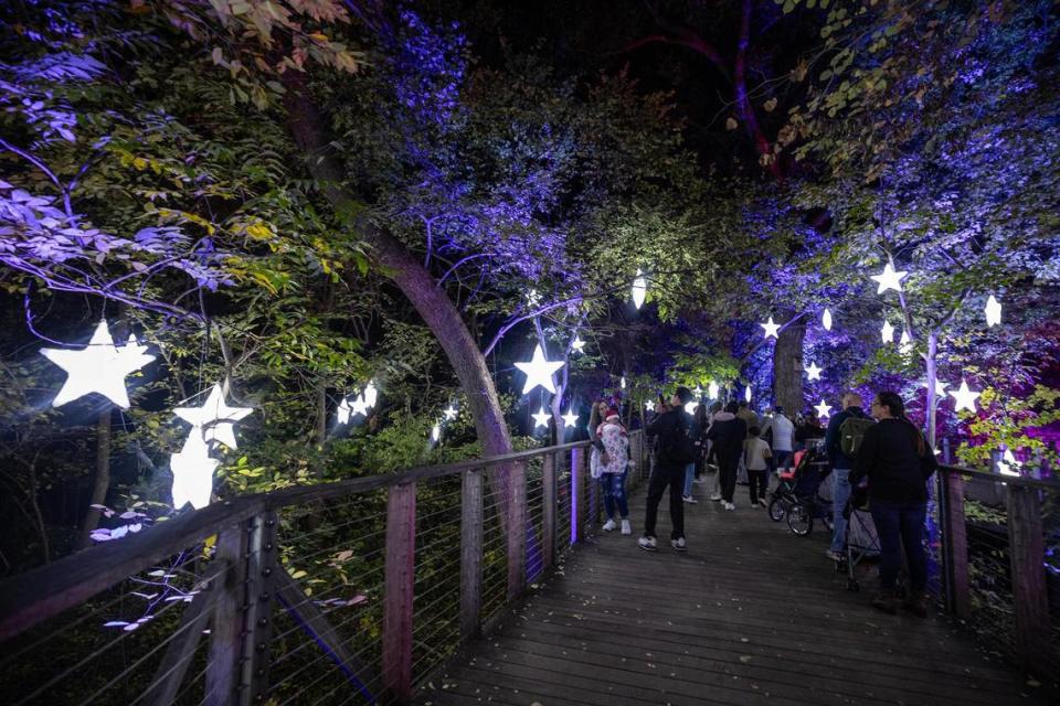Guests begin to walk through the ‘Winter Galaxy’ display for the Lightscape 2023 event at the Fort Worth Botanic Gardens on Friday, Nov. 24, 2023.