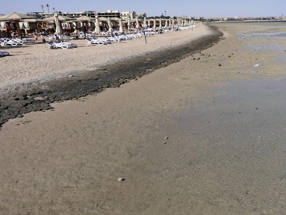 Empty sunbeds are seen during a low tide at the beach of the Red Sea resort of Sahl Hasheesh, Hurghada (Amr Abdallah Dalsh/Reuters/file image)