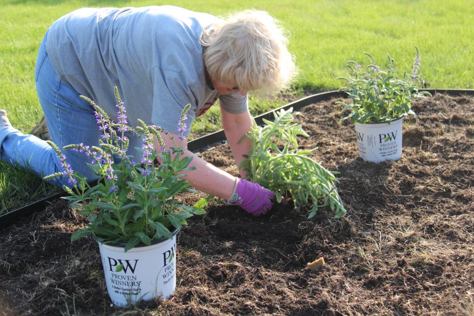 Linda Kaufman plants poppies at the Veterans Memorial Park on Wednesday, May 10, 2023.