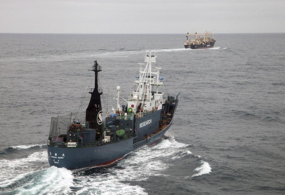 Japanese whaling ships Yushin Maru (L) and Nisshin Maru are pictured as they leave an internationally recognised whale sanctuary at 60 degrees south latitude, in this picture taken by helicopter by the Sea Shepherd Australia Antarctic whale defense campaig