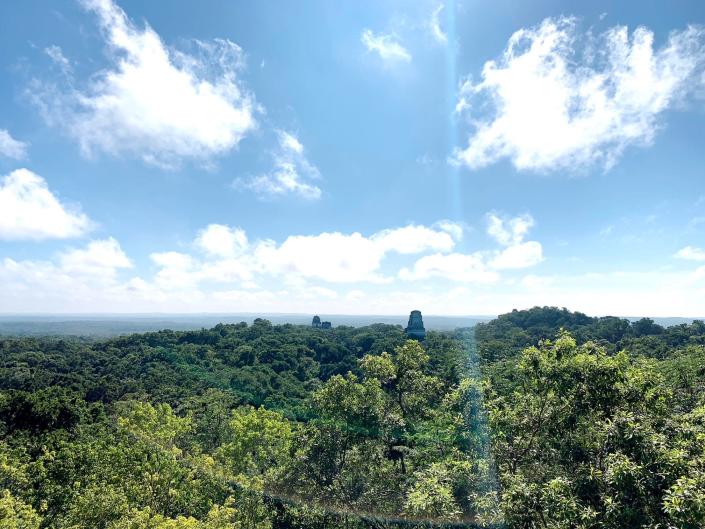 vista del templo de tikal en guatemala