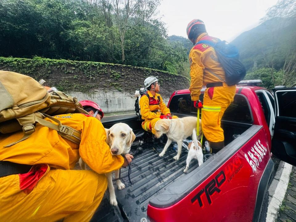 花蓮搜救犬隊出動3犬進行搜救任務。花蓮搜救犬隊～whf犬客臉書