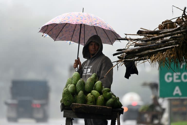 A farmer sells guanabas on a highway in the pouring rain in Honduras (Orlando SIERRA)