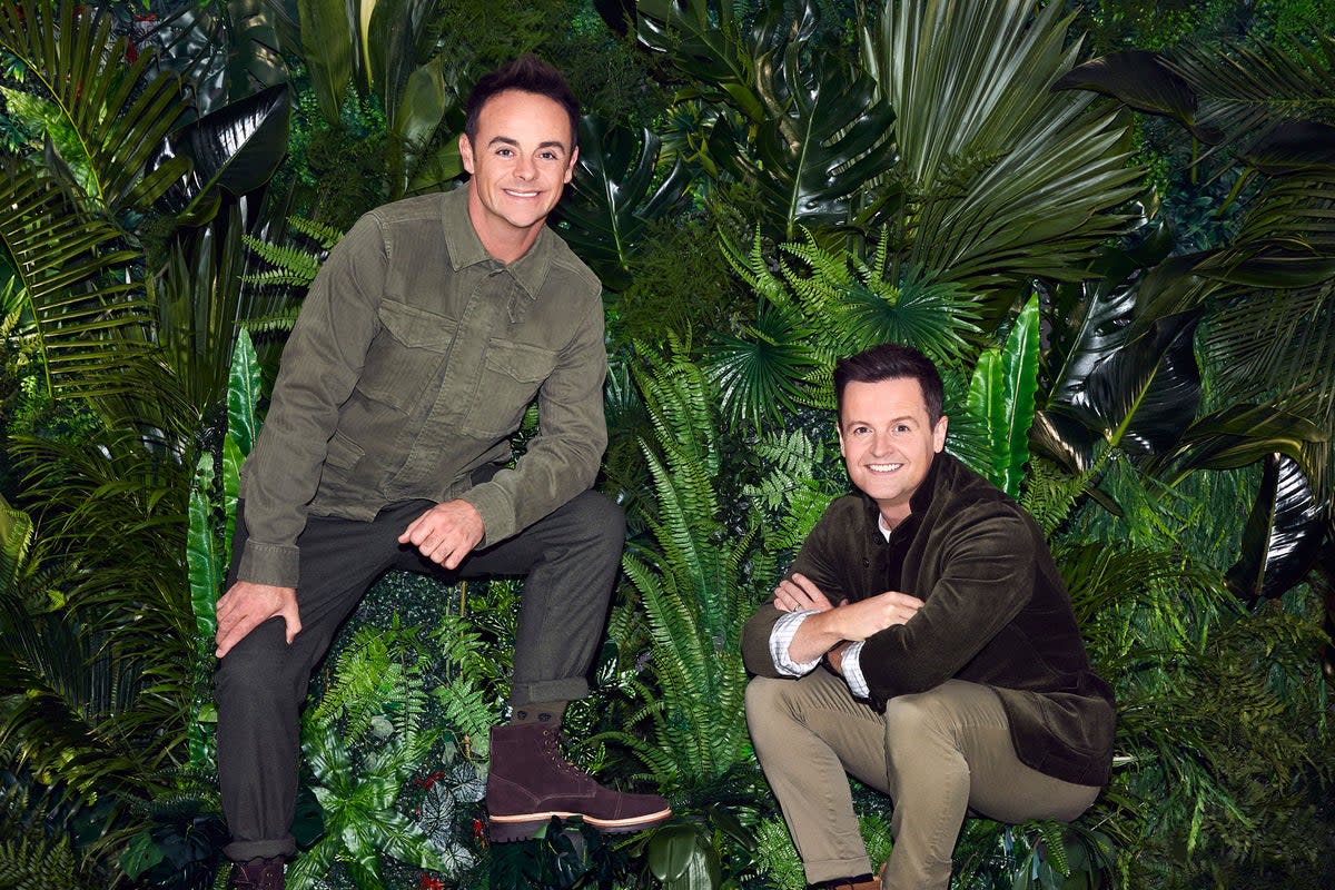 Ant McPartlin and Declan Donnelly on I'm A Celeb (PA Media)