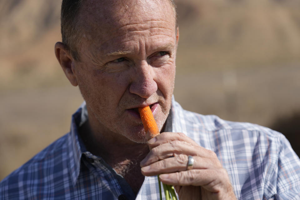Jeff Huckaby, president and CEO of Grimmway, takes a bite out of a freshly-picked carrot on a field owned by the company, Thursday, Sept. 21, 2023, in New Cuyama, Calif. (AP Photo/Marcio Jose Sanchez)