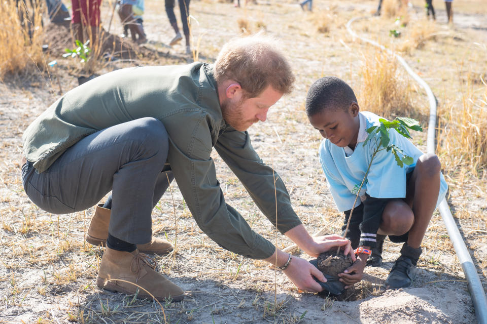 The Duke of Sussex opted for a pair of tan desert boots from Clarks which he wore during his royal tour of South Africa [Photo: Getty Images]