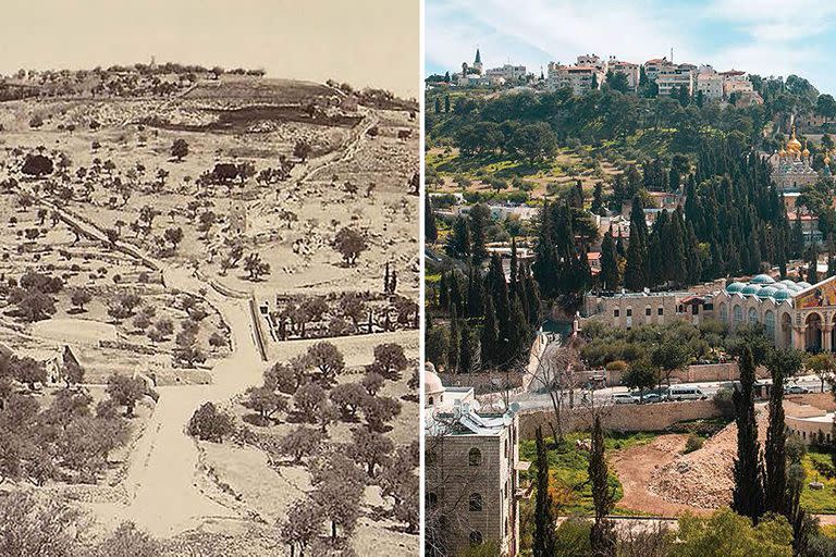 Monte de los Olivos, Jerusalén, en 1867 y en la actualidad. Gentileza Doug Hershey, autor de Jerusalem Rising (ISBN 978-1-4964-5390-7)