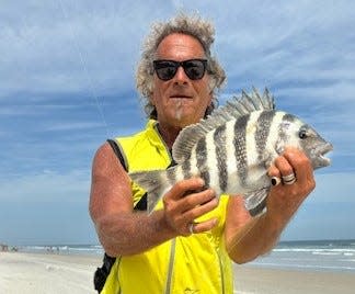 Marco Pompano branched out and used a sandflea to bring in this nice sheepshead this week in Wilbur by the Sea.
