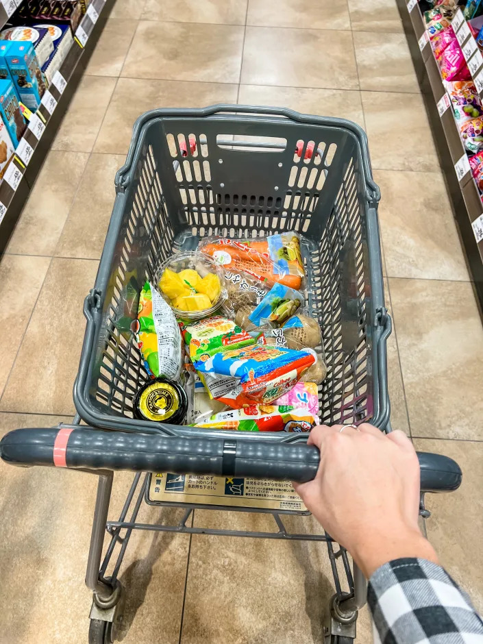 grocery cart in japanese grocery store