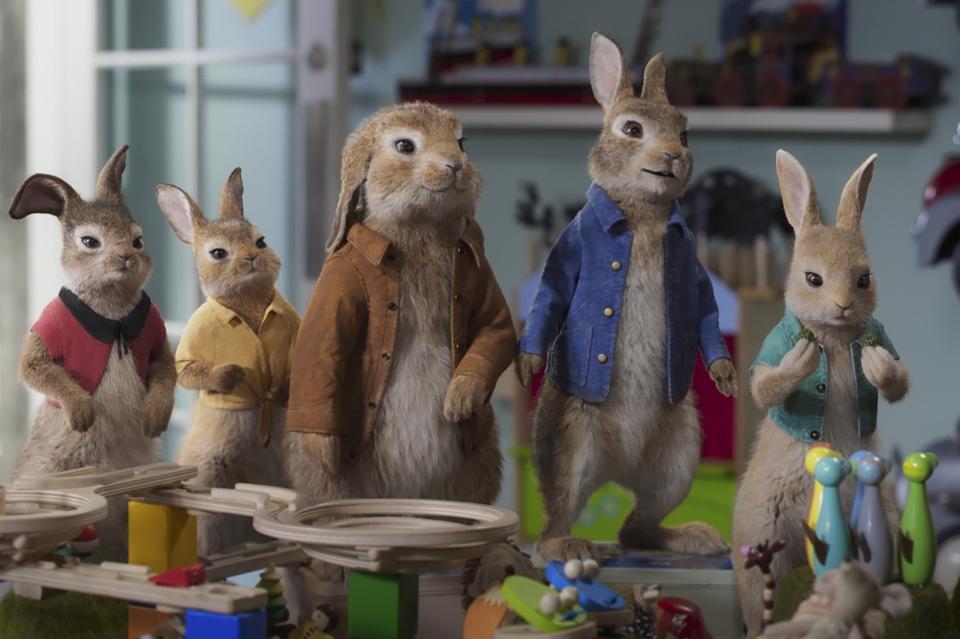 <p>Peter Rabbit is back</p>